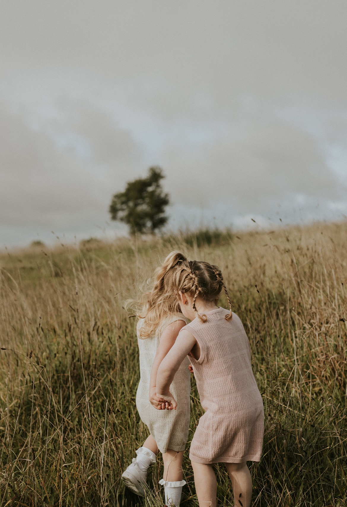 Pointelle Knit Dress (Mauve)