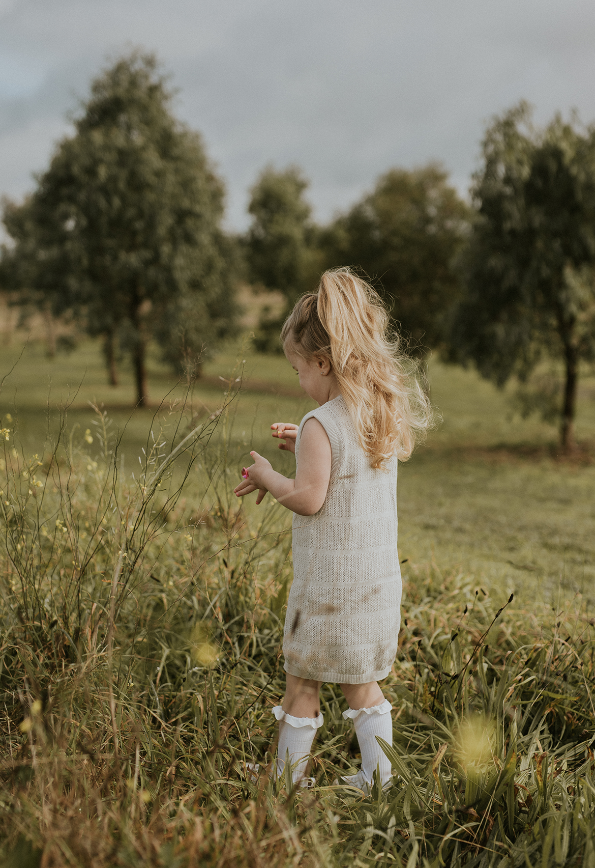 little girl picking flowers in field wearing organic cotton pointelle knit dress