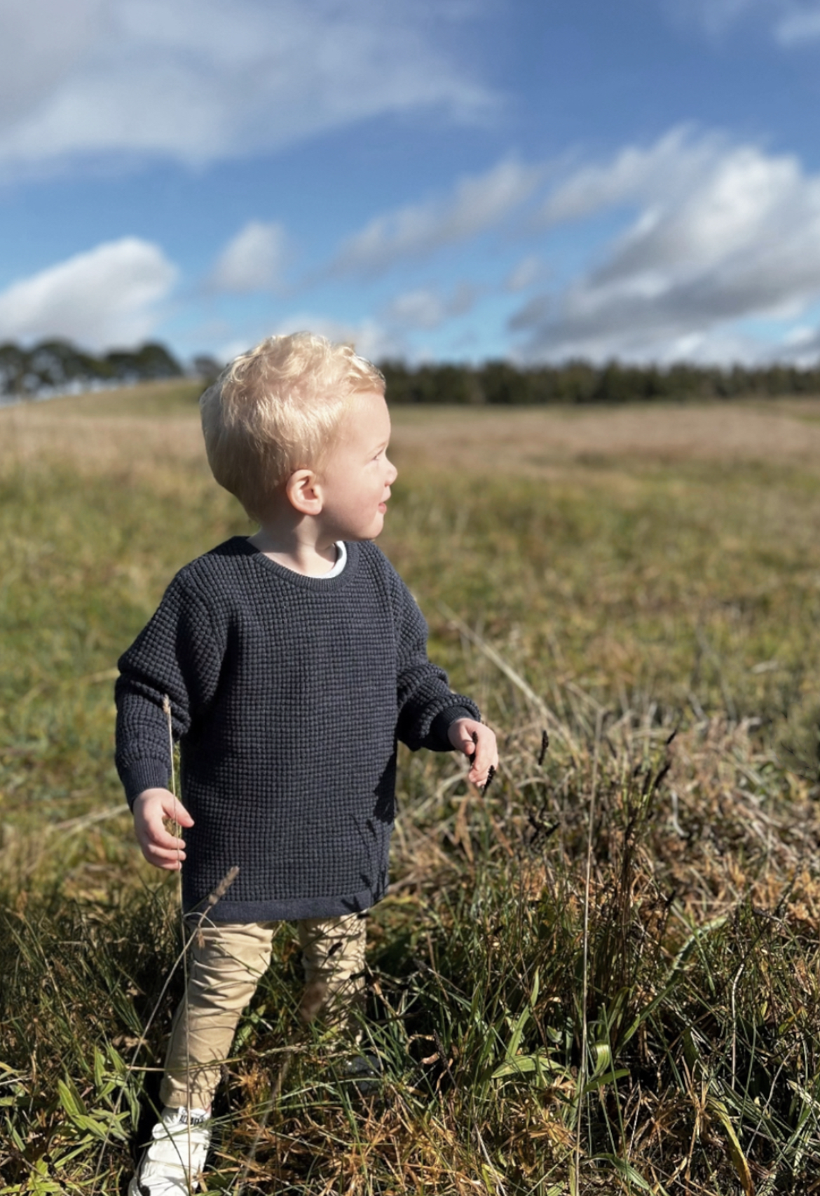 boy standing in knit jumper in paddock sun shining